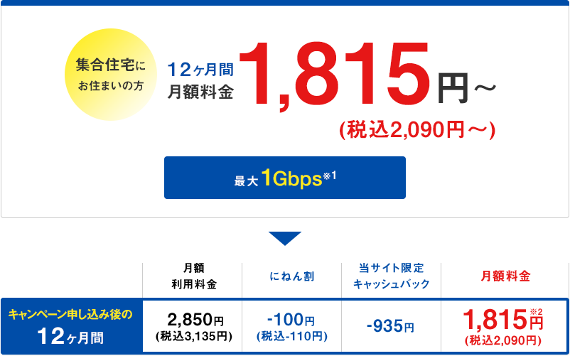 12ヶ月間月額料金税込2,090円