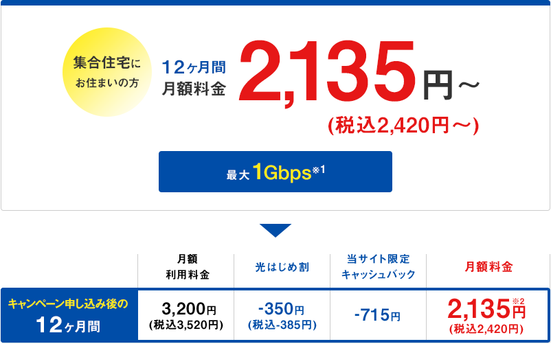 12ヶ月間月額実質税込2,420円