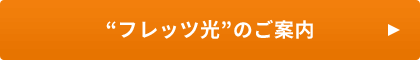 'フレッツ光のご案内'