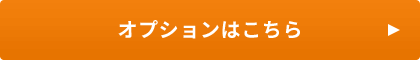 'オプションはこちら'