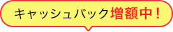 キャッシュバック増額中！