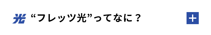 フレッツ光ってなに？