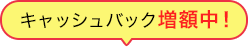 キャッシュバック増額中！