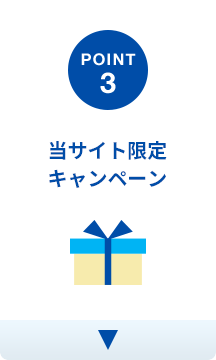 POINT3:当サイト限定キャンペーン